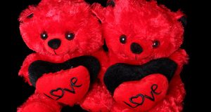 عکس خرس قرمز برای ولنتاین