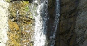 آبشار برگ جهان